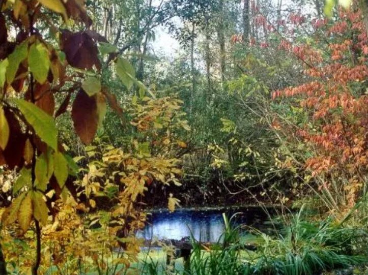 Arboretum du Chêne-Vert, Chabanais, France, France